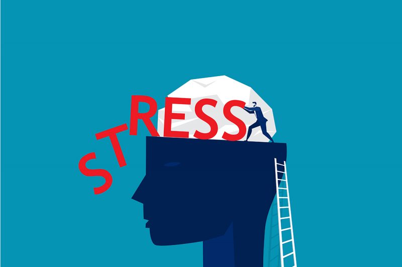 stress stress
